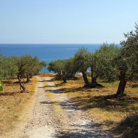 Tenuta Petreria Santo Stefano di Camastra Εξωτερικό φωτογραφία