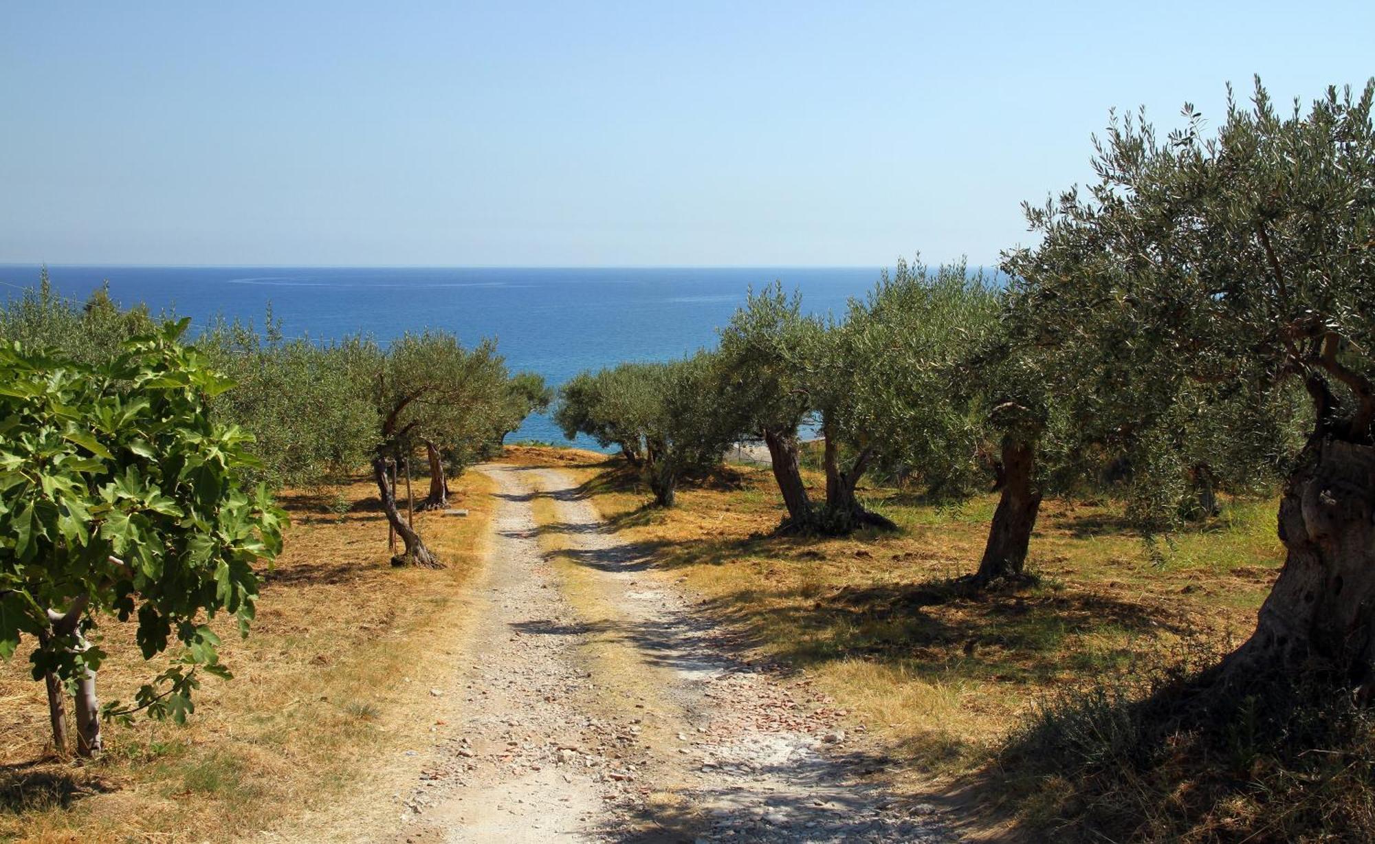 Tenuta Petreria Santo Stefano di Camastra Εξωτερικό φωτογραφία